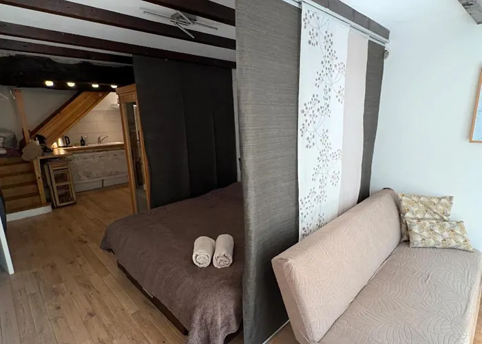 Magnifique Avec Sauna Infra Rouge Apartman *